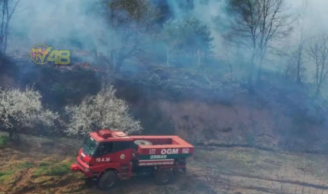 Son Dakika ! Türkiye'nin Farklı Noktalarında Eş Zamanlı Yangın Çıktı.