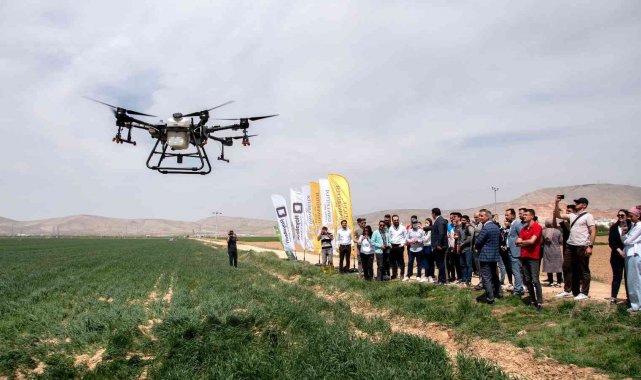 SÜ Ziraat Fakültesi çiftliğinde drone ile ilaçlama yapıldı