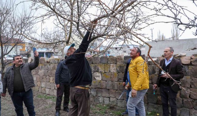 Talaslı çiftçilere uygulamalı aşı ve budama eğitimi