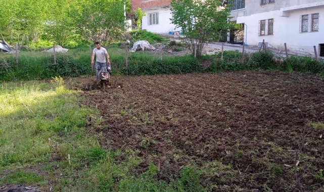 Tarlalarda çapalama işlemi başladı
