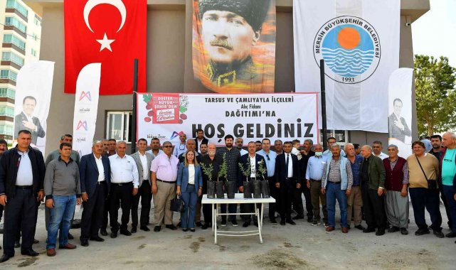 Tarsus ve Çamlıyayla'da çiftçilere alıç fidanı dağıtıldı