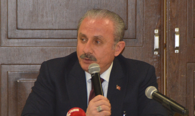 TBMM Başkanı Şentop&#039;tan &#039;troll&#039; açıklaması: Bu konuyu kapatmayacağım