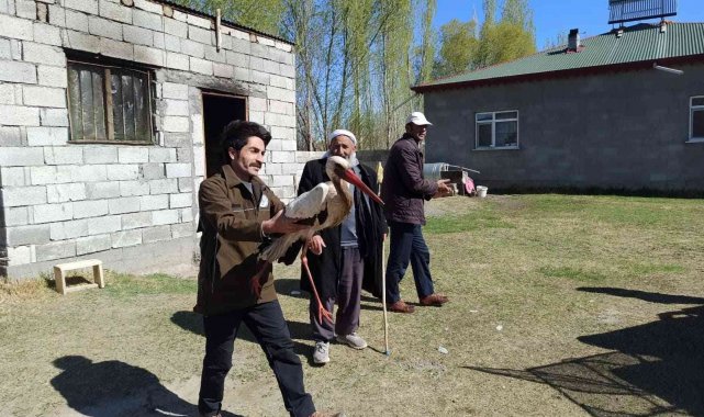 Tedavisi tamamlanan leylek doğaya bırakıldı