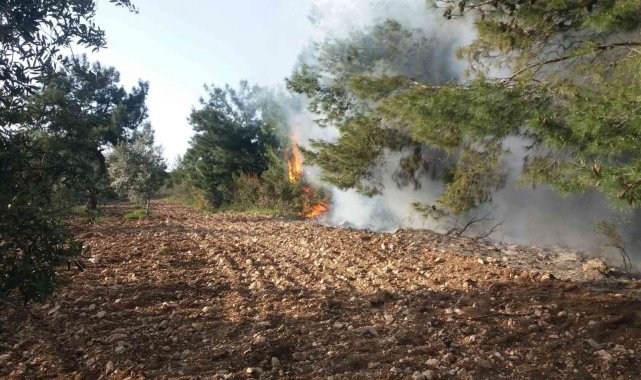 Temizlik amaçlı yakılan ateşler yangınlara neden oluyor