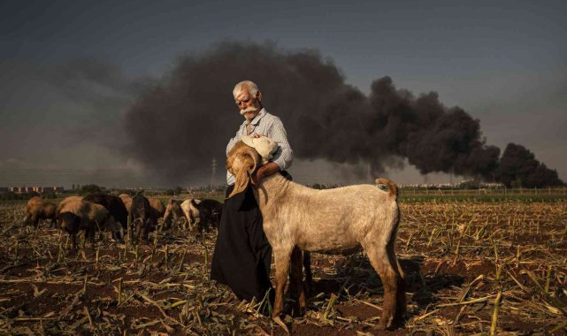 TFSF'den Arka Plan Fotoğraf Derneği'ne mansiyon ödülü