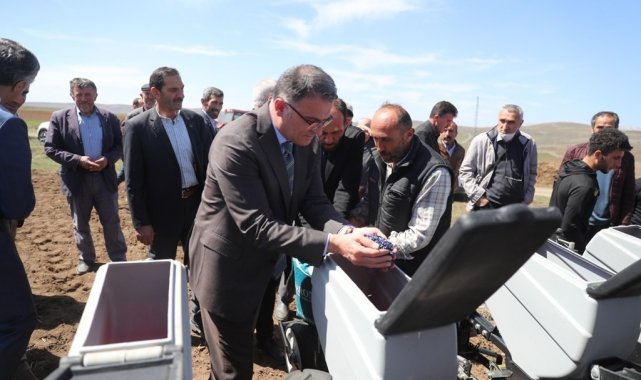 Tokat'ta, 700 çiftçiye yüzde 50 hibeli ayçiçeği tohumu dağıtıldı