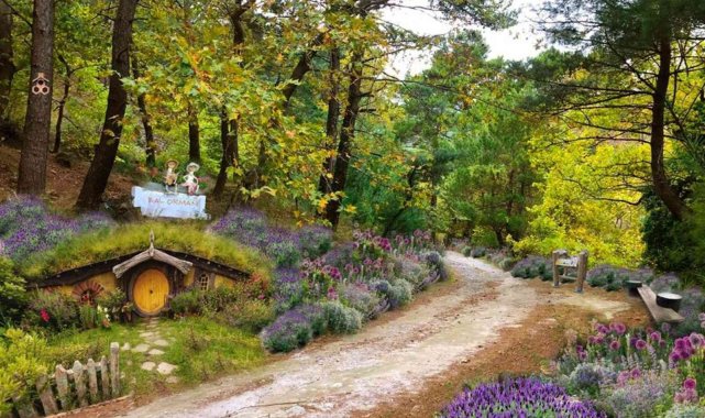 Türkiye'nin en büyük Bal Ormanı Kazdağları'nda kuruluyor