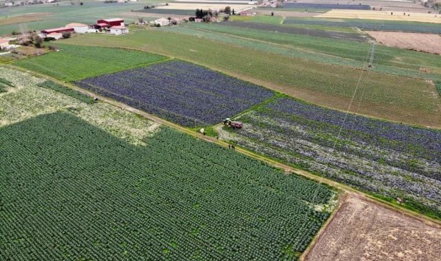 Türkiye'nin meyvesi, sebzesi ve yem bitkisi Samsun'dan