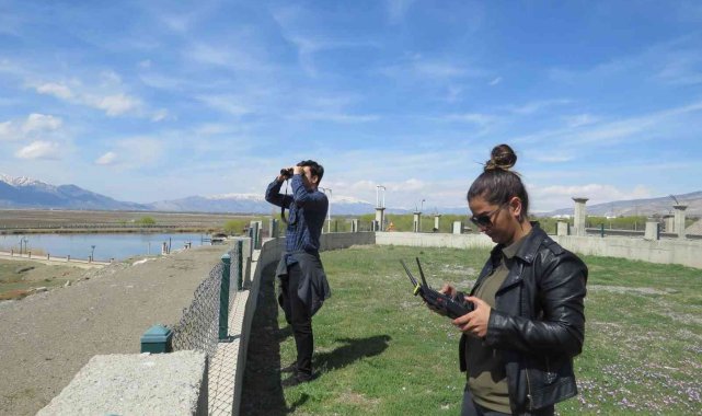 Türkülere ilham kaynağı olan turnaların envanter çalışması yapıldı