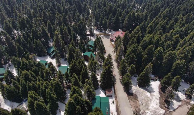 Uludağ'ın orman köşkleri bayram ve yaza hazır
