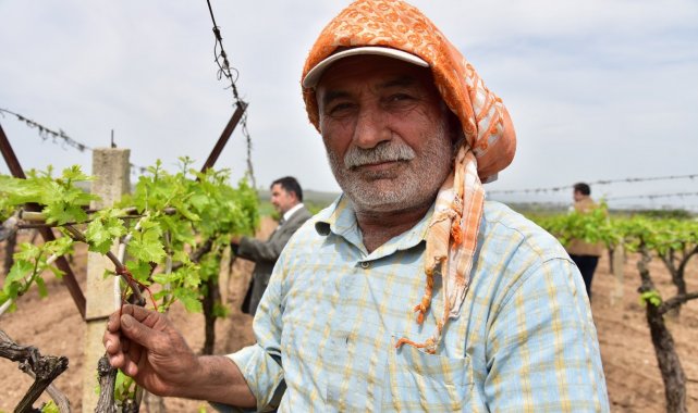 Üreticilerin biyoteknik mücadelesine Manisa Büyükşehir desteği