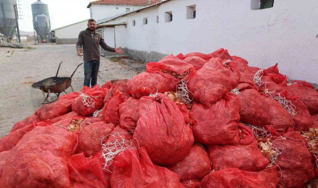 Üreticilerin elinde kalan soğanlar depolarda çürüyor