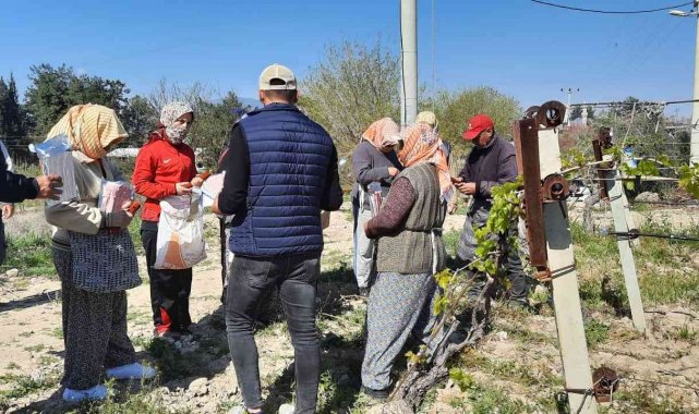 Üzüm bağlarına salkım güvesine karşı biyoteknik mücadele alanları artıyor