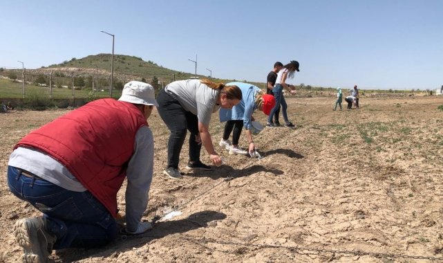 Üzümcülük Araştırma Ve Uygulama Bağı&#039;na ilk üzüm fidanları dikildi