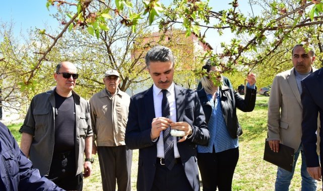 Vali Baruş, hasar gören kayısı bahçelerini inceledi