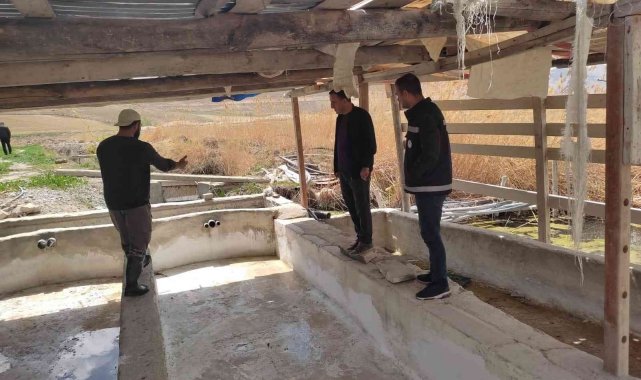 Van'da alabalık tesisleri denetleniyor