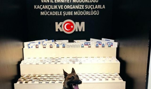Van'da gümrük kaçakçılığı operasyonu