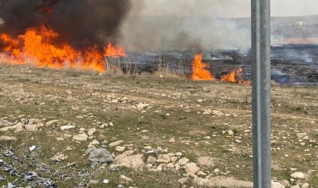 Van'da sazlık yangını