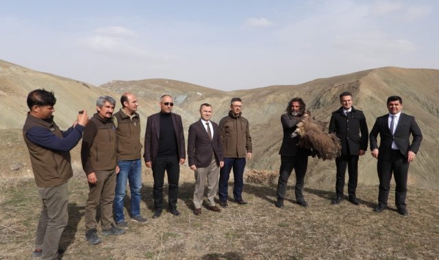 Van'da tedavi edilen yırtıcı kuşlar doğaya bırakıldı