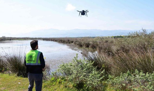 Vektörle havadan mücadele