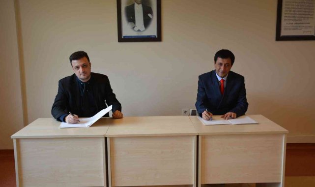 Yabancı dil işbirliği