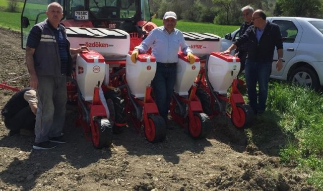 Yağlık ayçiçeği tohumları toprakla buluştu