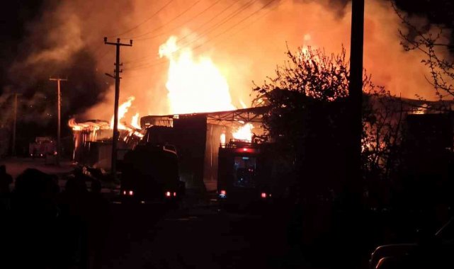 Yalova'da kereste fabrikasında korkutan yangın