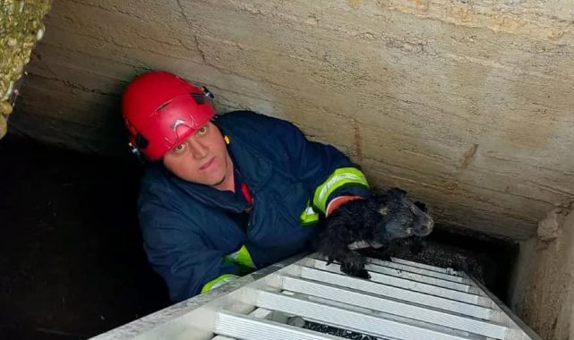 Yalova&#039;da kuyuya düşen yavru köpeği itfaiye kurtardı