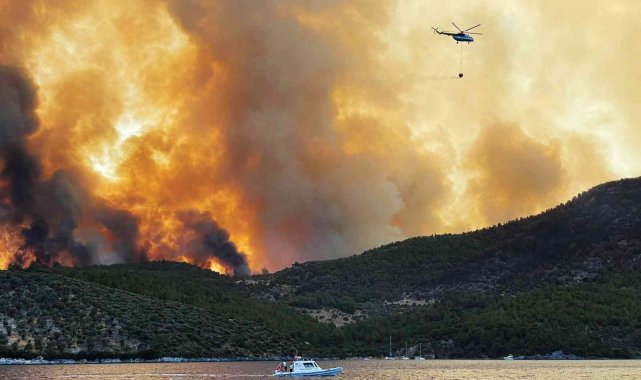 Yangınların sosyo-ekonomik etkileri projesi WWF raporunda