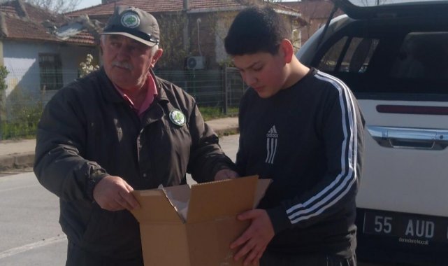 Yaralı halde bulduğu sincabı görevlilere teslim etti