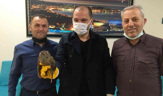 Yaralı halde bulunan İshak kuşu koruma altına alındı