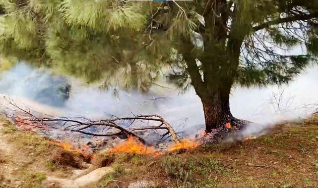 Yatağan'da orman yangını