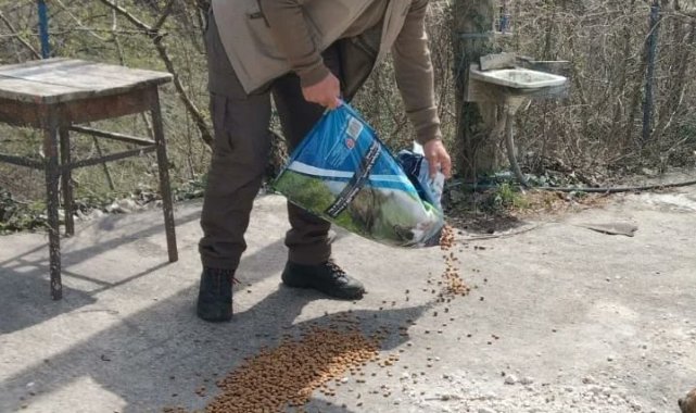 Yığılca'da hayvanlar için doğaya mama bırakıldı