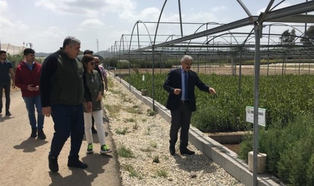 Yılmaz: "8 milyon fidan üreteceğiz"