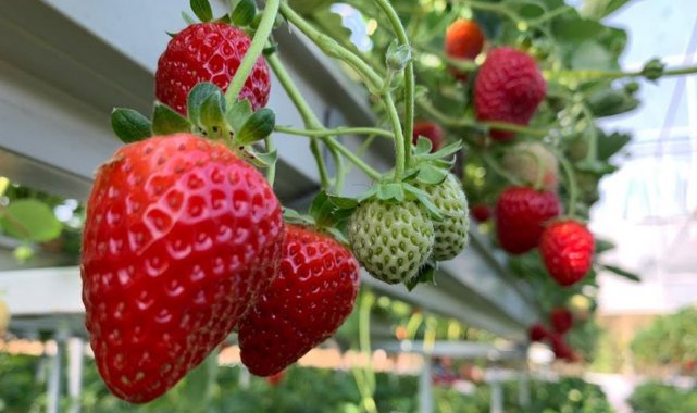 Yunusemre'nin AB projesi ön elemeyi geçti