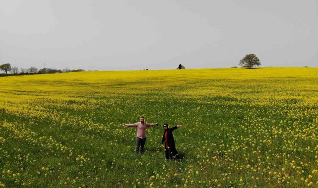 Yüzde 50 yağ oranına sahip kanolanın üretimi katlanarak artacak