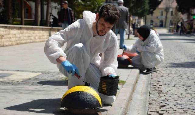 Zübeyde Hanım Caddesi uğur böcekleriyle donatılıyor