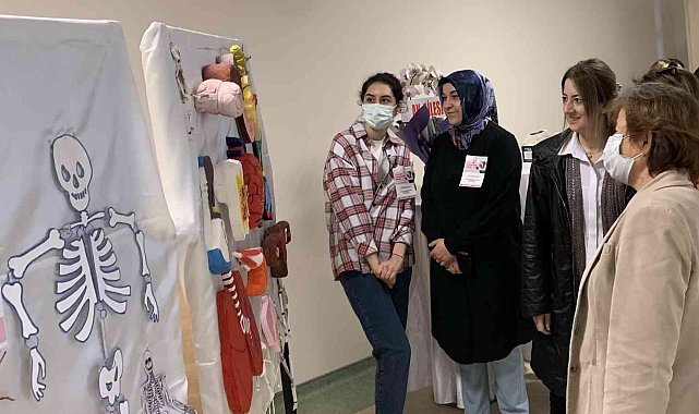 1. Anatomi Materyalleri Sergisi: Farklı maddeler anatomik materyallere dönüştü