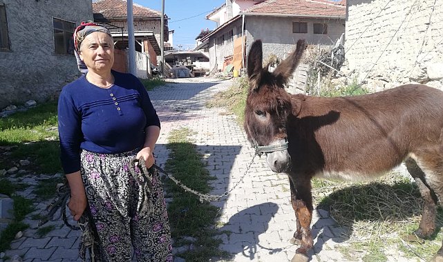 15 yılldır gözü gibi baktığı eşeğine aylar sonra kavuştu