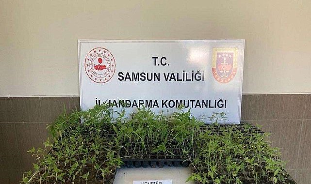 16 olayda 22 şüpheli gözaltına alındı