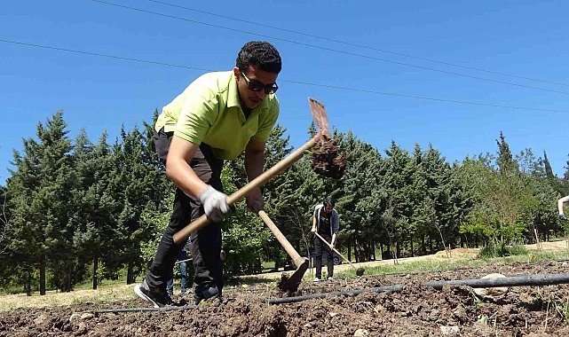 3 bin kilometre uzaktan doğru tarım için geldiler