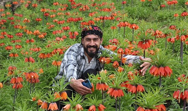 'Ağlayan Gelinler'den görsel şölen