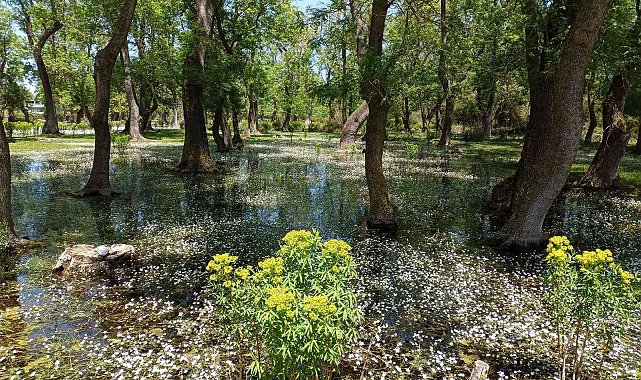 &#039;Dünya miras değil emanet&#039;