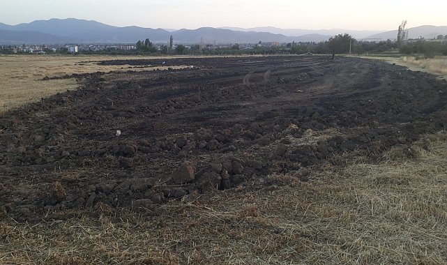 5 dönümlük emek küle döndü
