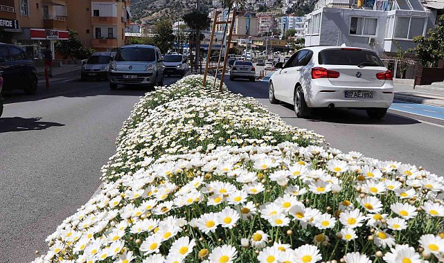 630 bin çiçekle Alanya rengarenk olacak