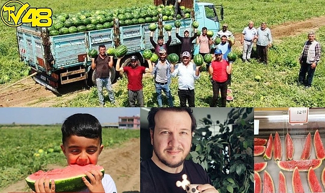 Adana Turfan'da Karpuz Hasadı Başladı