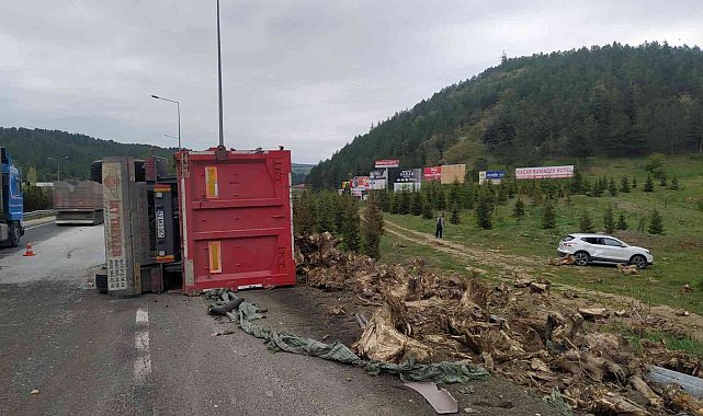 Ağaç kökü yüklü tır devrildi, sürücüsü yaralandı