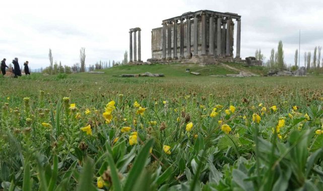 Aizanoi Antik Kenti'nde ilkbahar güzelliği