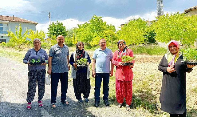 Akçadağ'da 100 bin sebze fidesi dağıtıldı