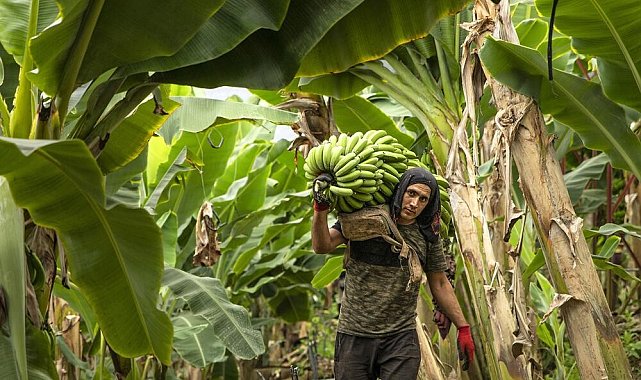 Alanya Belediyesi 16'ncı Uluslararası Fotoğraf Yarışması sonuçlandı